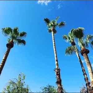 Meet your Posher, Bre